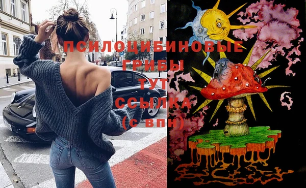 не бодяженный Приозерск